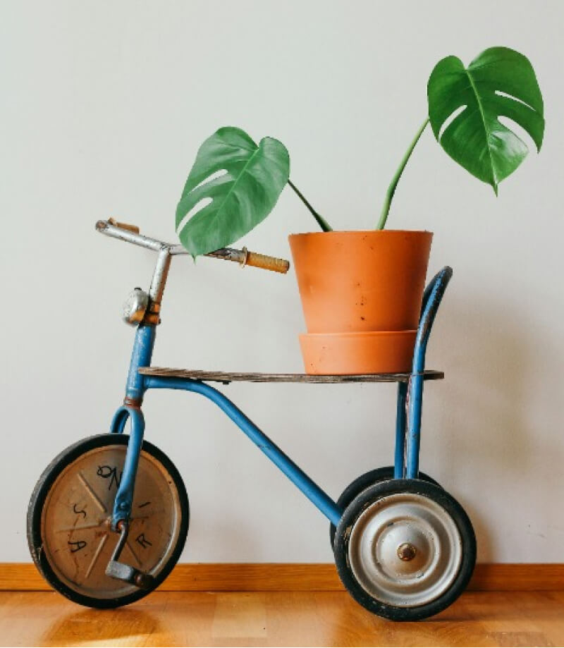 product-05-a product 05 a