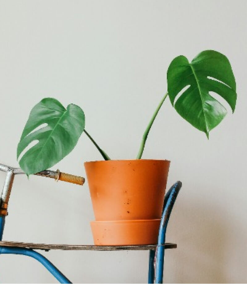 product-05-b product 05 b