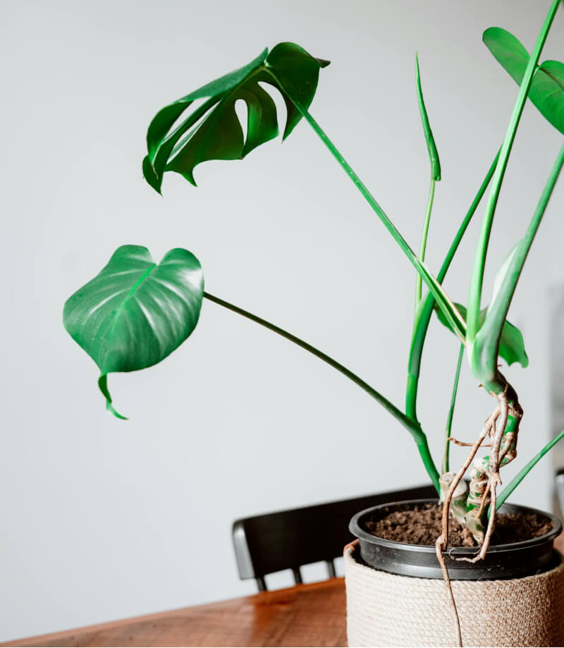 product-05-c product 05 c